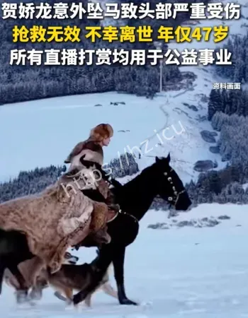 贺娇龙直播打赏